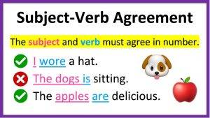subject verb agreement mcqs
